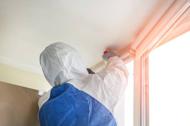  Dunellen, NJ Mold Removal & Remediation Pros